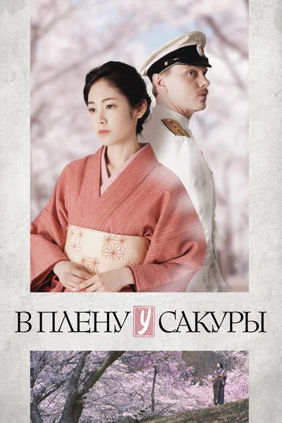 Постер: В плену у сакуры